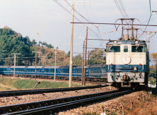 253.jpg