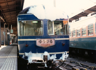 258.jpg
